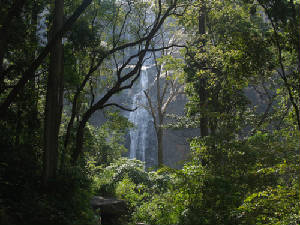 palaruvi-waterfalls.jpg
